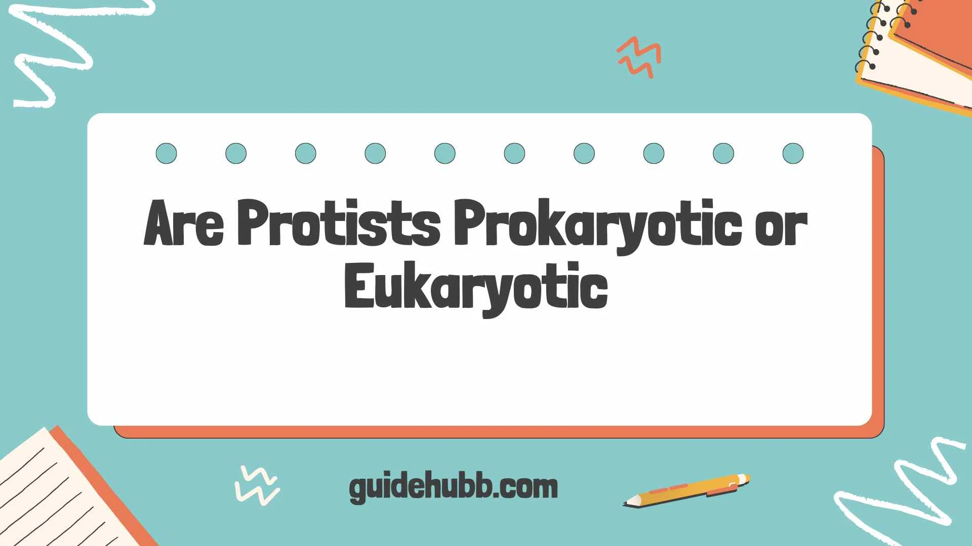 Are Protists Prokaryotic or Eukaryotic