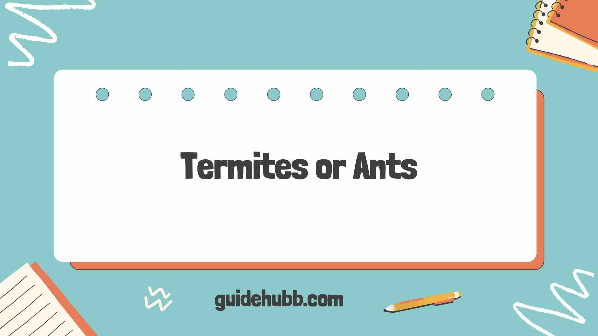 termites or ants