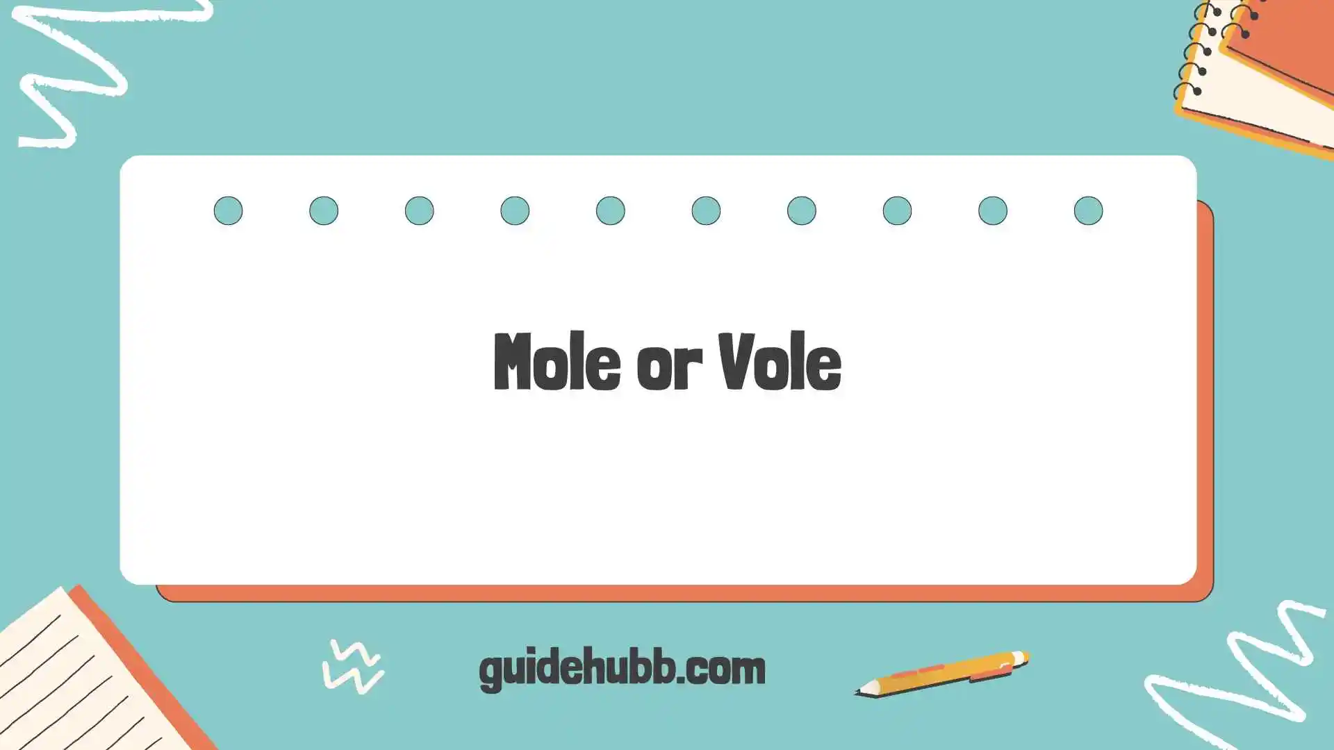 mole or vole